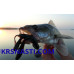 Сьедобный силикон Bait Breath U30 Rush Craw 2,8